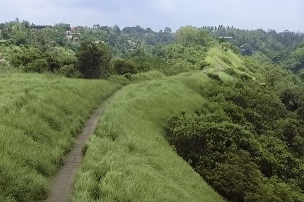 Hiking